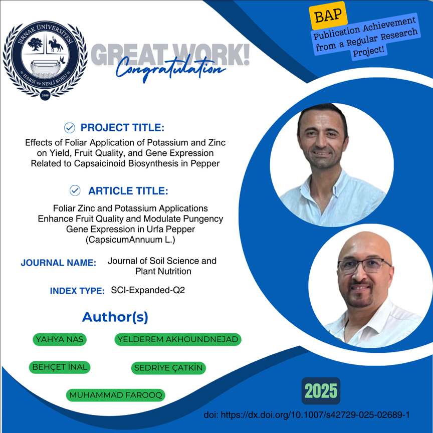 publication-achievement