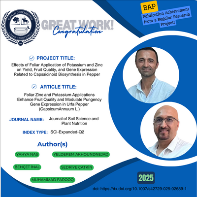 publication-achievement