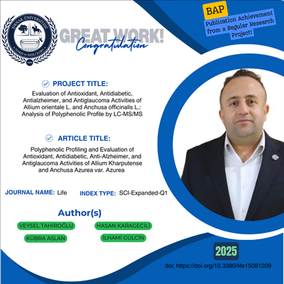 publication-achievement